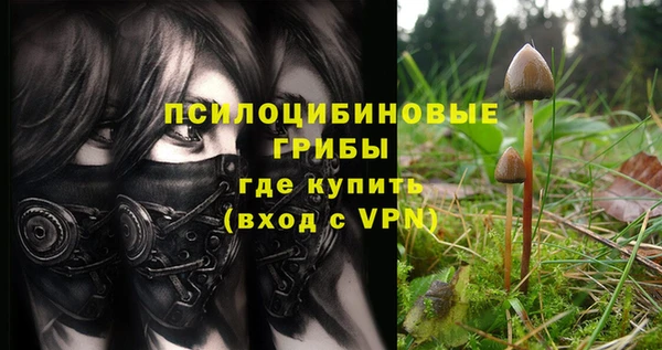 apvp Баксан