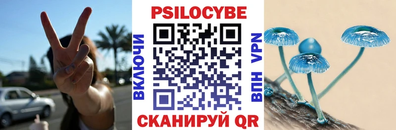 Галлюциногенные грибы GOLDEN TEACHER  купить наркотик  Шацк 